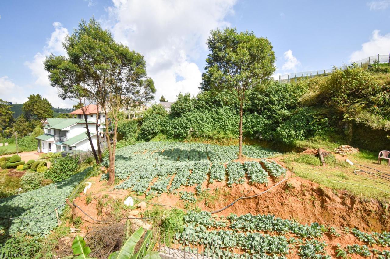 St. Anne Holiday Bunglow Nuwara Eliya Luaran gambar